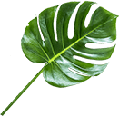 organic-cosmetics-slider-item-2.png
